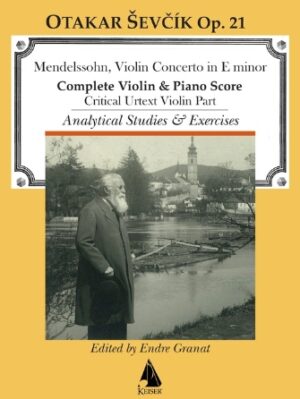 Violin Concerto in E minor Violin Concerto in E minor