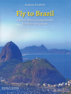 Fly to Brazil