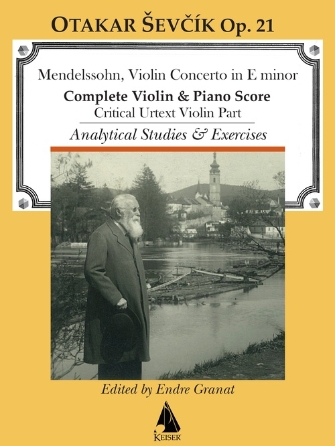 Violin Concerto in E minor