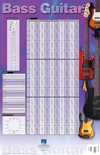 Bass Guitar Poster Bass Guitar Poster