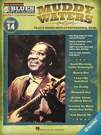 Muddy Waters Muddy Waters