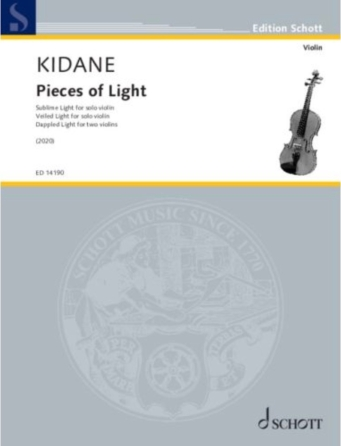Pieces of Light